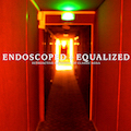 image Endoscoped And Equalized